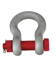 Alloy Shackles-Pin Nut